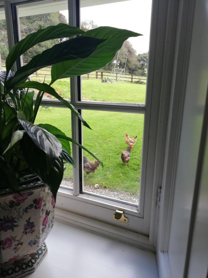 Next Door At Broomfield House Midleton Luaran gambar