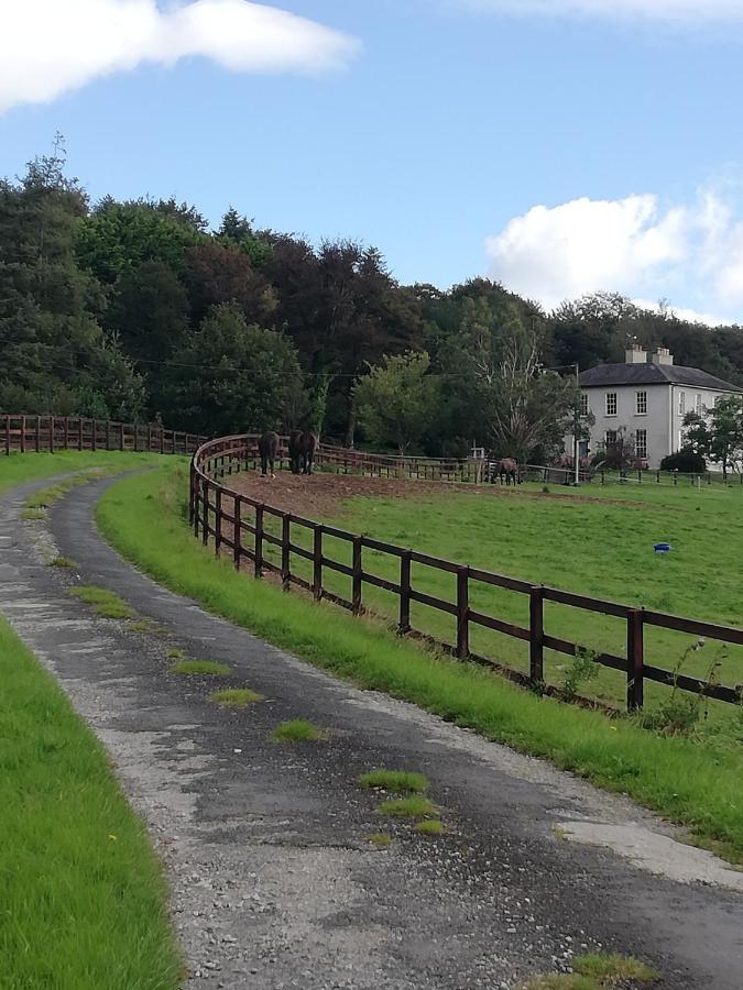 Next Door At Broomfield House Midleton Luaran gambar