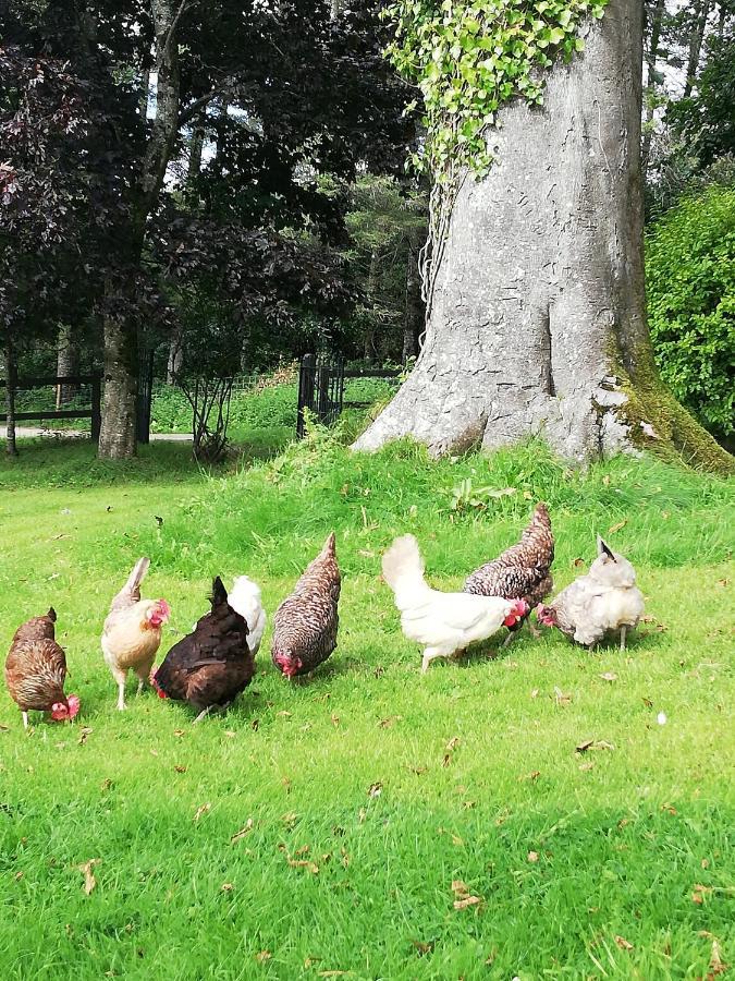 Next Door At Broomfield House Midleton Luaran gambar